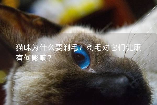 猫咪为什么要剃毛？剃毛对它们健康有何影响？