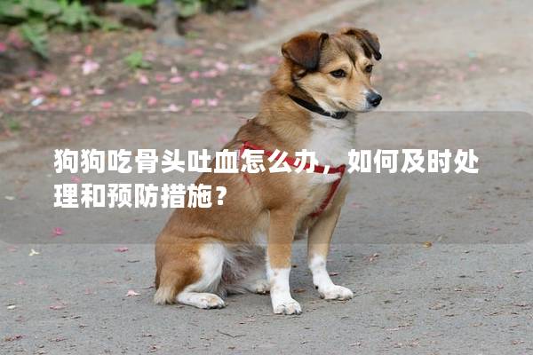 狗狗吃骨头吐血怎么办，如何及时处理和预防措施？