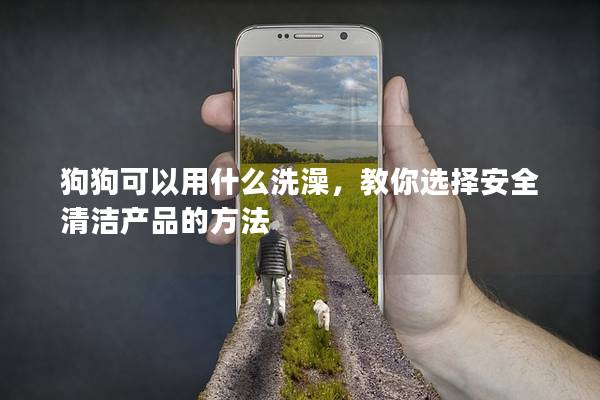 狗狗可以用什么洗澡，教你选择安全清洁产品的方法