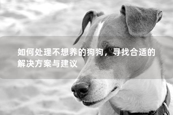 如何处理不想养的狗狗，寻找合适的解决方案与建议