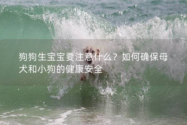 狗狗生宝宝要注意什么？如何确保母犬和小狗的健康安全