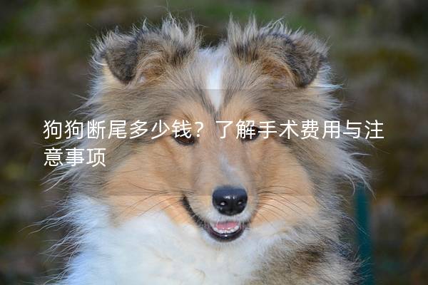 狗狗断尾多少钱？了解手术费用与注意事项