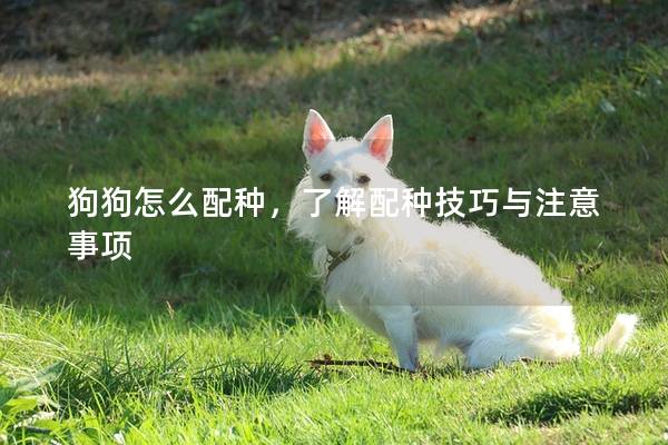 狗狗怎么配种，了解配种技巧与注意事项