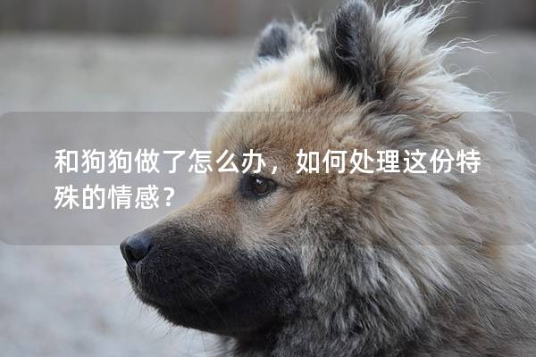 和狗狗做了怎么办，如何处理这份特殊的情感？