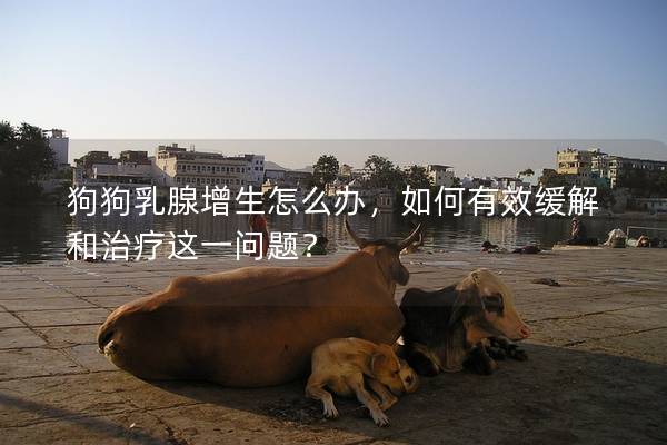 狗狗乳腺增生怎么办，如何有效缓解和治疗这一问题？