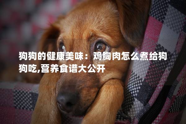 狗狗的健康美味：鸡胸肉怎么煮给狗狗吃,营养食谱大公开