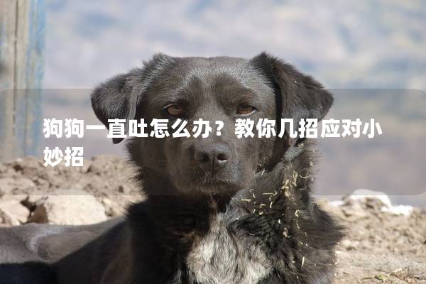 狗狗一直吐怎么办？教你几招应对小妙招