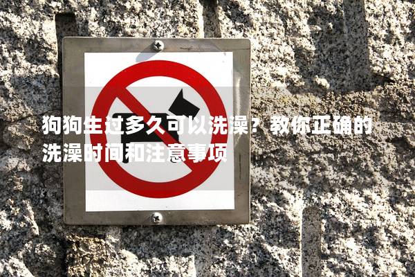 狗狗生过多久可以洗澡？教你正确的洗澡时间和注意事项