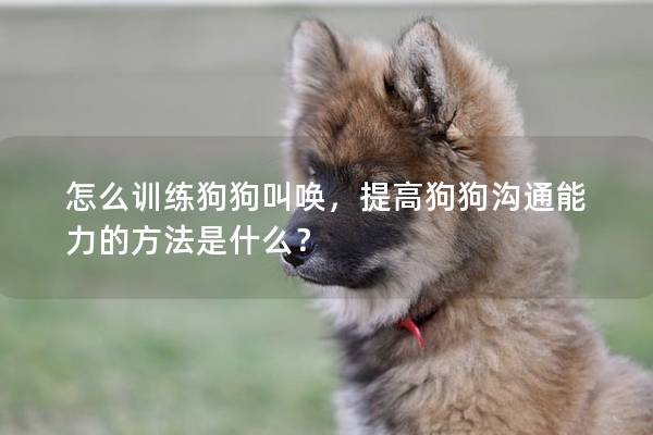 怎么训练狗狗叫唤，提高狗狗沟通能力的方法是什么？