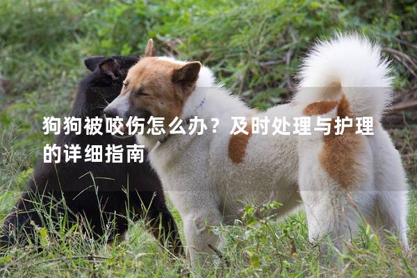 狗狗被咬伤怎么办？及时处理与护理的详细指南