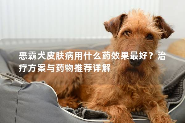 恶霸犬皮肤病用什么药效果最好？治疗方案与药物推荐详解
