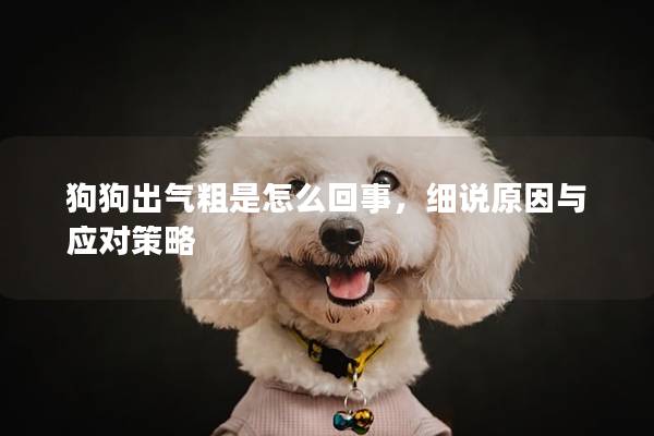 狗狗出气粗是怎么回事，细说原因与应对策略