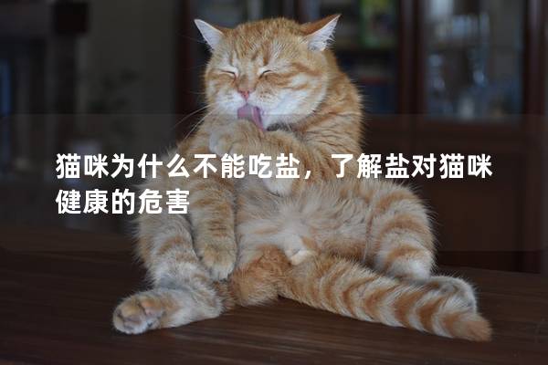 猫咪为什么不能吃盐，了解盐对猫咪健康的危害