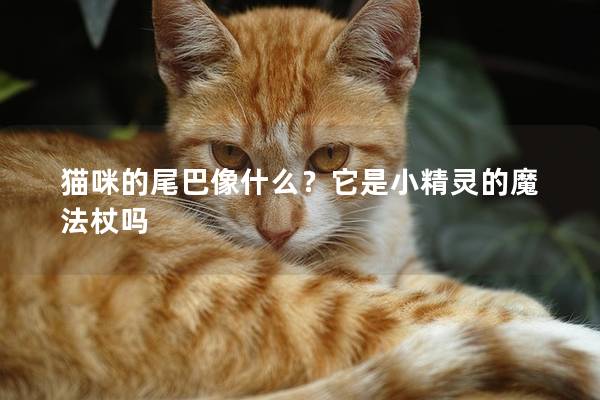 猫咪的尾巴像什么？它是小精灵的魔法杖吗