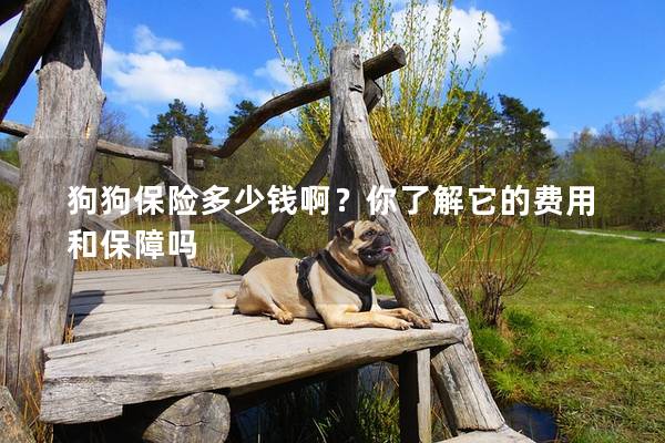 狗狗保险多少钱啊？你了解它的费用和保障吗