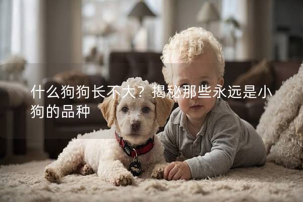 什么狗狗长不大？揭秘那些永远是小狗的品种