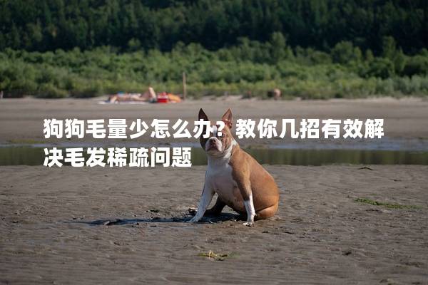 狗狗毛量少怎么办？教你几招有效解决毛发稀疏问题
