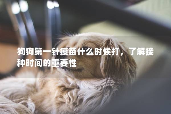 狗狗第一针疫苗什么时候打，了解接种时间的重要性