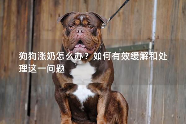 狗狗涨奶怎么办？如何有效缓解和处理这一问题