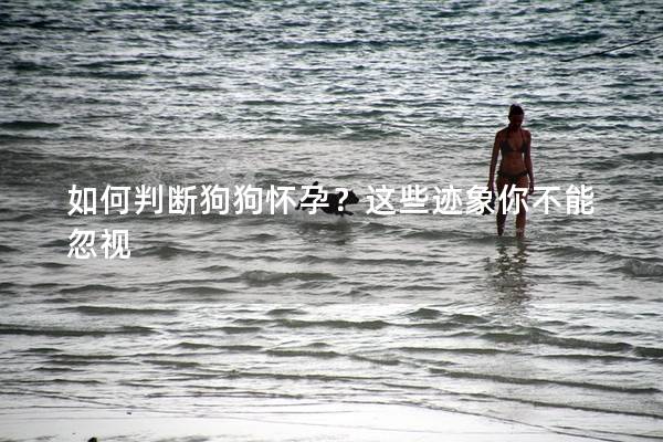如何判断狗狗怀孕？这些迹象你不能忽视