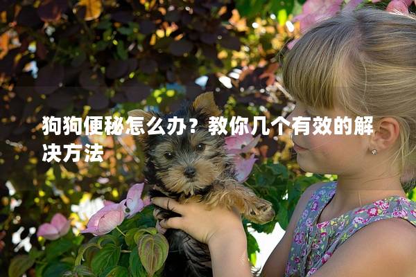 狗狗便秘怎么办？教你几个有效的解决方法