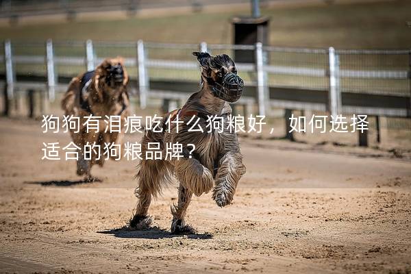 狗狗有泪痕吃什么狗粮好，如何选择适合的狗粮品牌？
