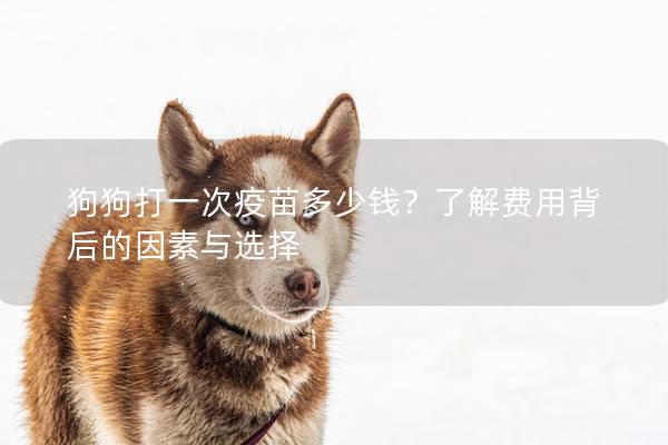 狗狗打一次疫苗多少钱？了解费用背后的因素与选择
