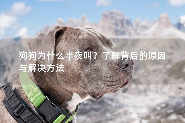 狗狗为什么半夜叫？了解背后的原因与解决方法