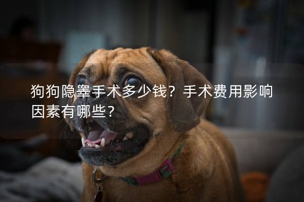 狗狗隐睾手术多少钱？手术费用影响因素有哪些？