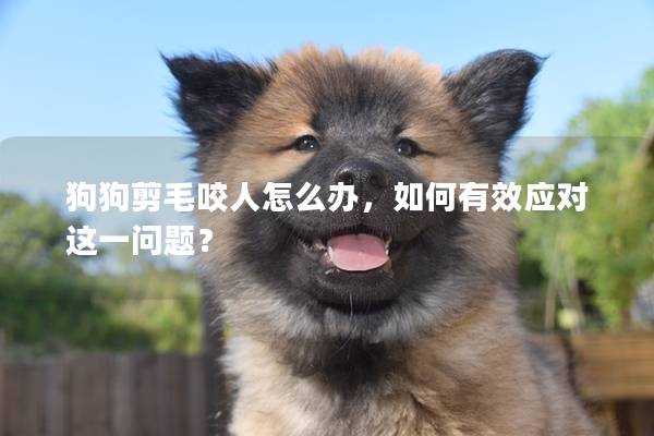 狗狗剪毛咬人怎么办，如何有效应对这一问题？