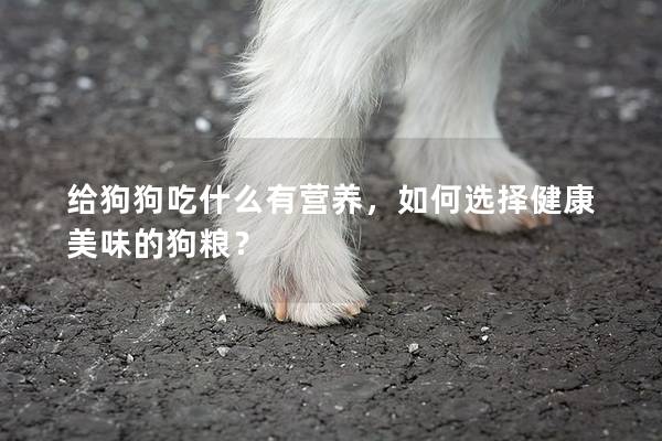 给狗狗吃什么有营养，如何选择健康美味的狗粮？