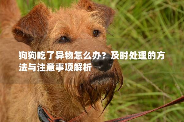 狗狗吃了异物怎么办？及时处理的方法与注意事项解析