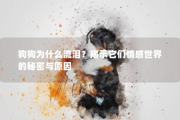 狗狗为什么流泪？揭示它们情感世界的秘密与原因