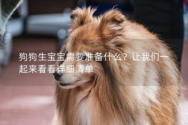 狗狗生宝宝需要准备什么？让我们一起来看看详细清单