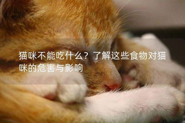 猫咪不能吃什么？了解这些食物对猫咪的危害与影响