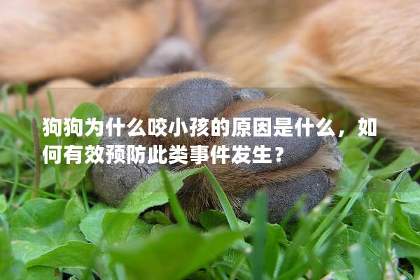 狗狗为什么咬小孩的原因是什么，如何有效预防此类事件发生？