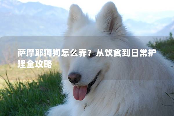 萨摩耶狗狗怎么养？从饮食到日常护理全攻略