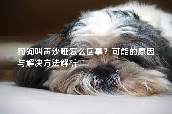 狗狗叫声沙哑怎么回事？可能的原因与解决方法解析