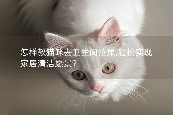 怎样教猫咪去卫生间拉屎,轻松实现家居清洁愿景？