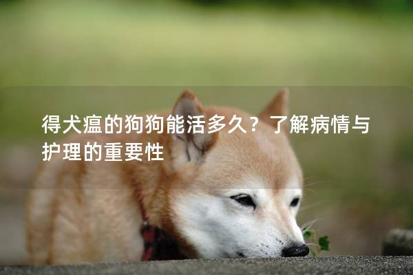 得犬瘟的狗狗能活多久？了解病情与护理的重要性