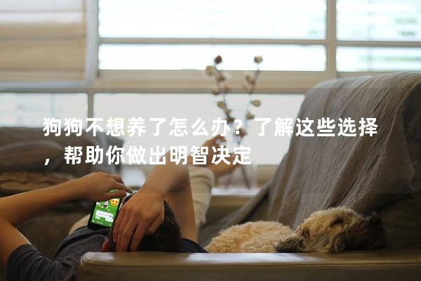 狗狗不想养了怎么办？了解这些选择，帮助你做出明智决定