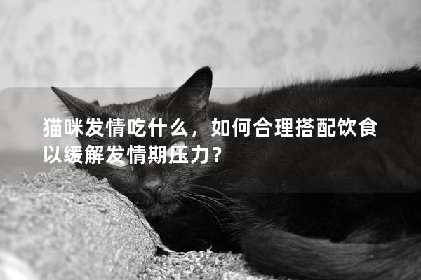 猫咪发情吃什么，如何合理搭配饮食以缓解发情期压力？