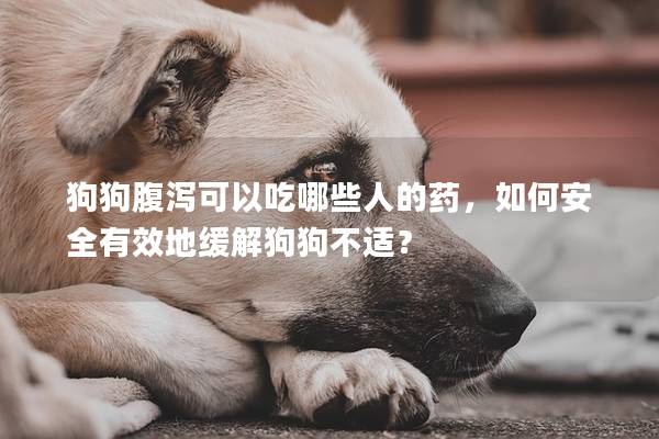 狗狗腹泻可以吃哪些人的药，如何安全有效地缓解狗狗不适？