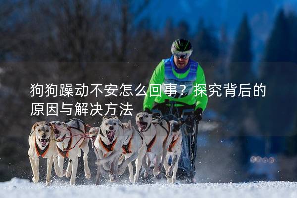 狗狗躁动不安怎么回事？探究背后的原因与解决方法