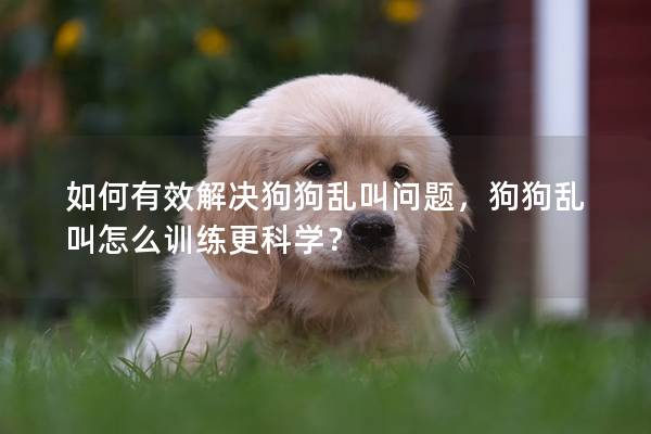 如何有效解决狗狗乱叫问题，狗狗乱叫怎么训练更科学？