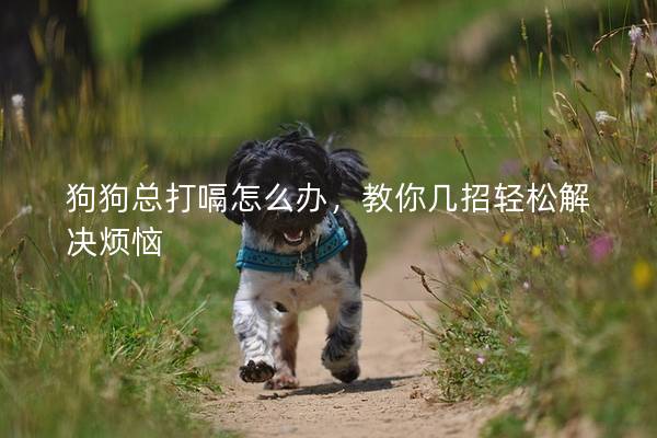 狗狗总打嗝怎么办，教你几招轻松解决烦恼