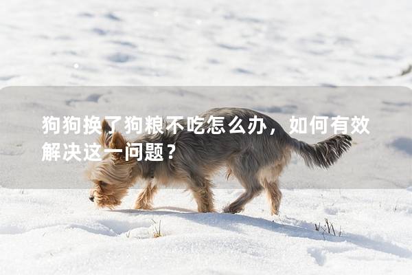 狗狗换了狗粮不吃怎么办，如何有效解决这一问题？