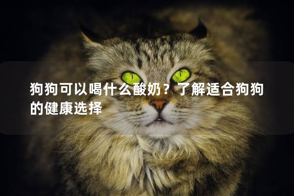 狗狗可以喝什么酸奶？了解适合狗狗的健康选择