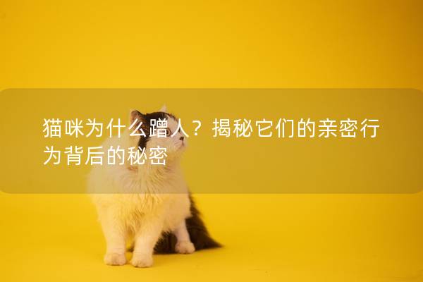 猫咪为什么蹭人？揭秘它们的亲密行为背后的秘密