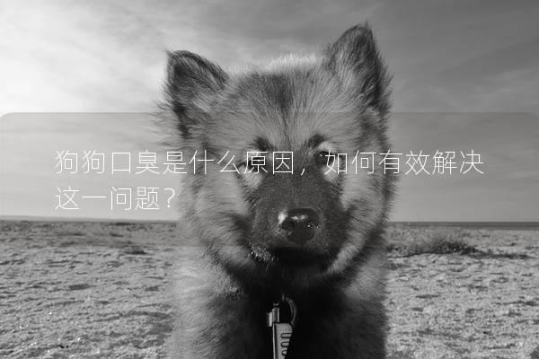 狗狗口臭是什么原因，如何有效解决这一问题？